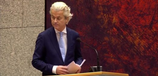 Wetsvoorstel PVV: mensen met dubbele nationaliteit mogen niet meer stemmen